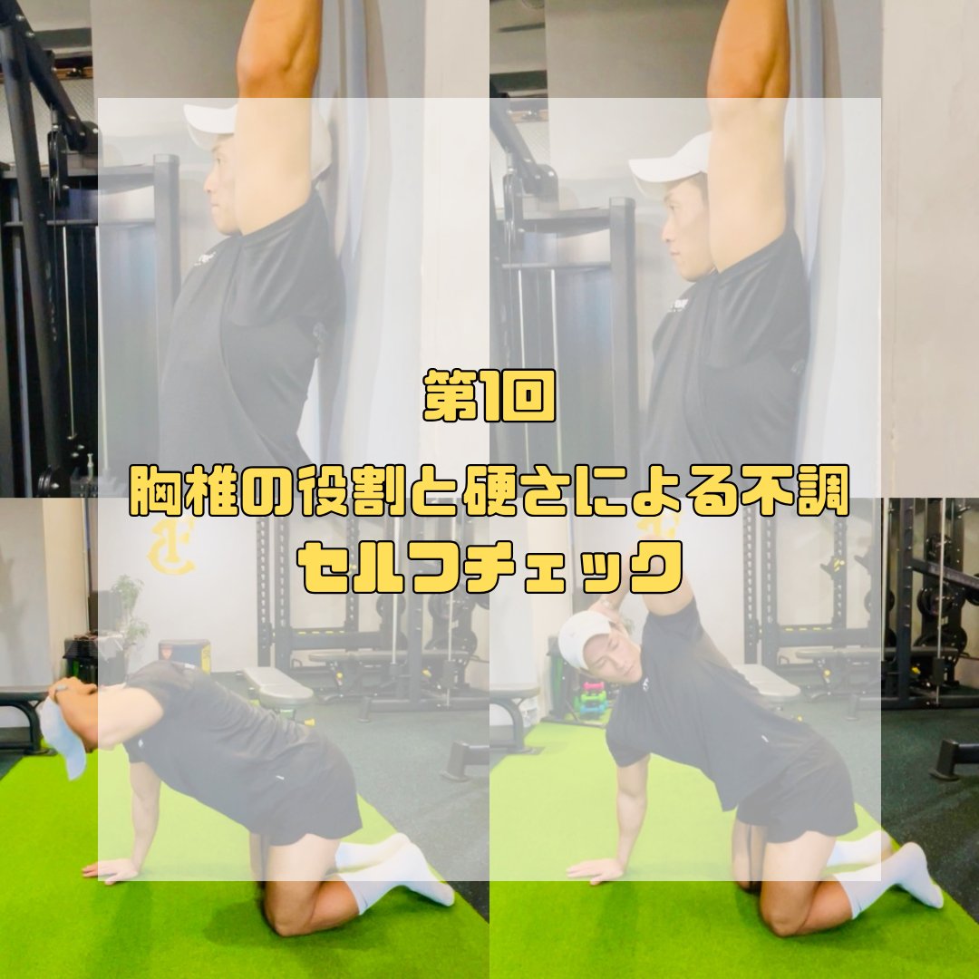 第1回：胸椎の役割と硬さによる不調、セルフチェック