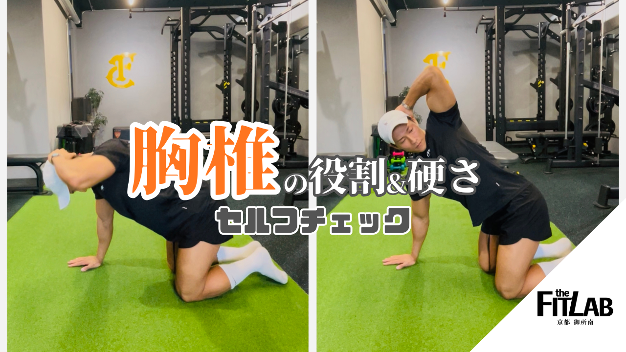 第1回：胸椎の役割と硬さによる不調、セルフチェック
