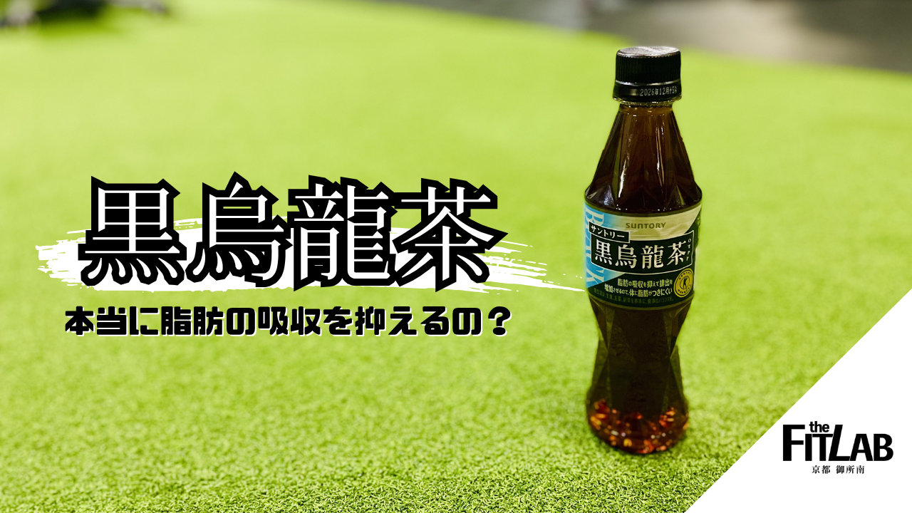 黒烏龍茶は痩せる？脂肪吸収を抑える仕組みと正しい飲み方